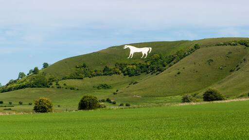 Panorama of Westbury White Horse. Hill figure created by exposing white chalk on the escarpment of Salisbury Plain in Wiltshire, UK