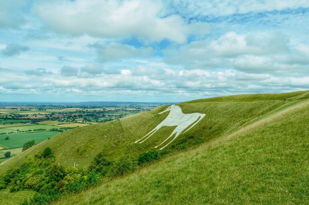 Westbury White Horse 