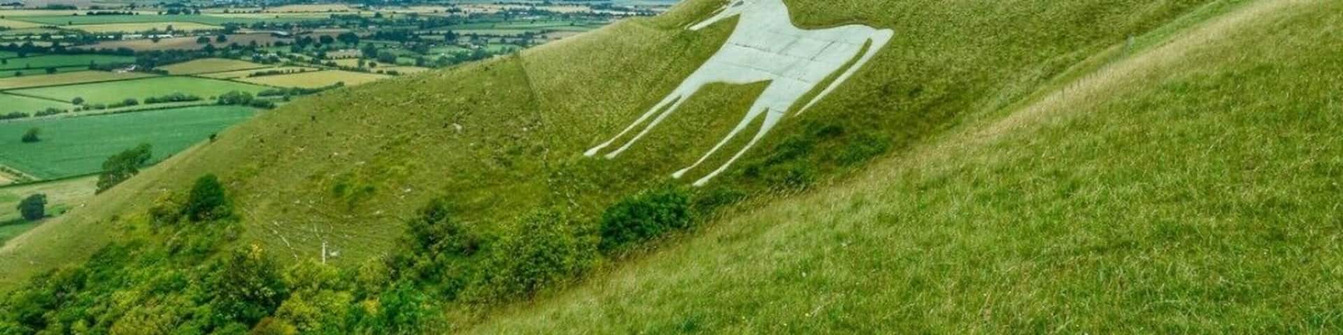 Westbury White Horse