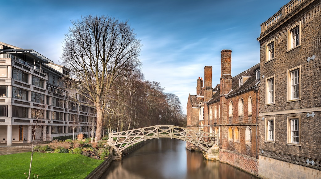 Universidad de Cambridge