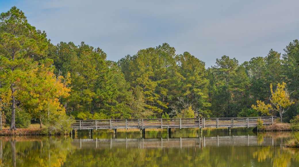 General Coffee State Park