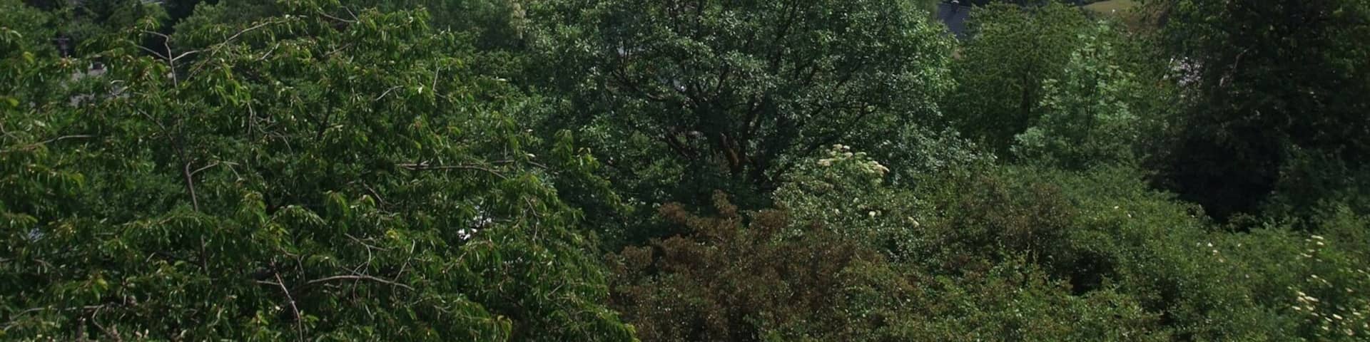 Blick vom Schloss Braunfels nach Nordwesten auf die Gemeinde Leun