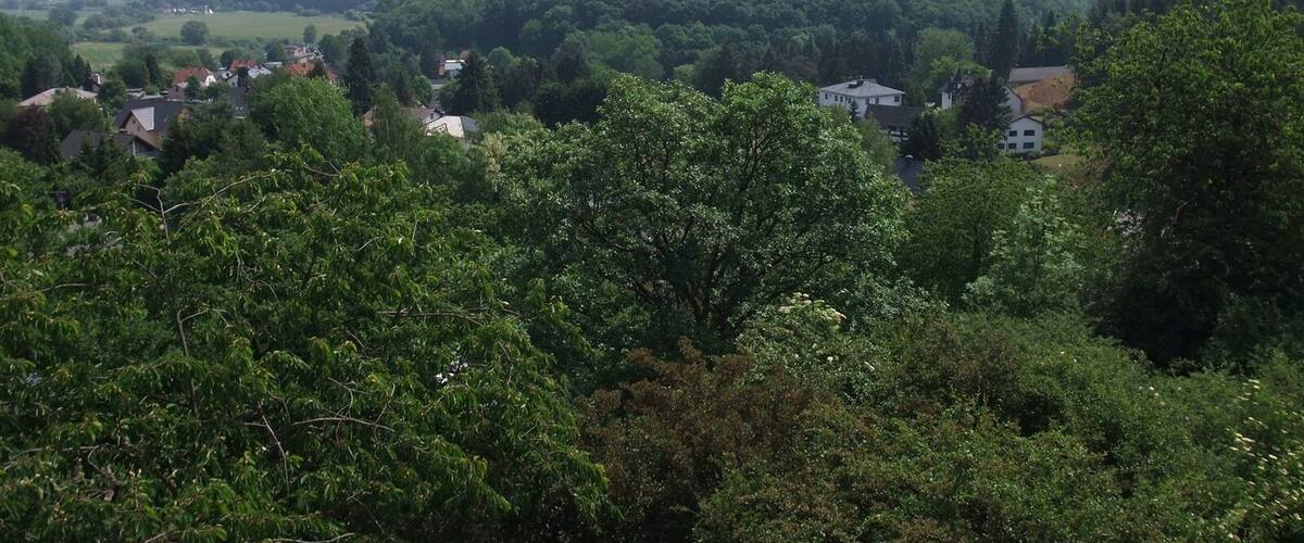 A lush green valley with a hill in the background and houses scattered throughout.