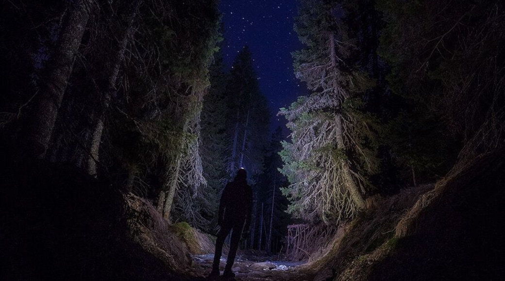 Me standing on a path in the midlle of the forest at night all by my self...
Uploaded for a contest #BvSAstro