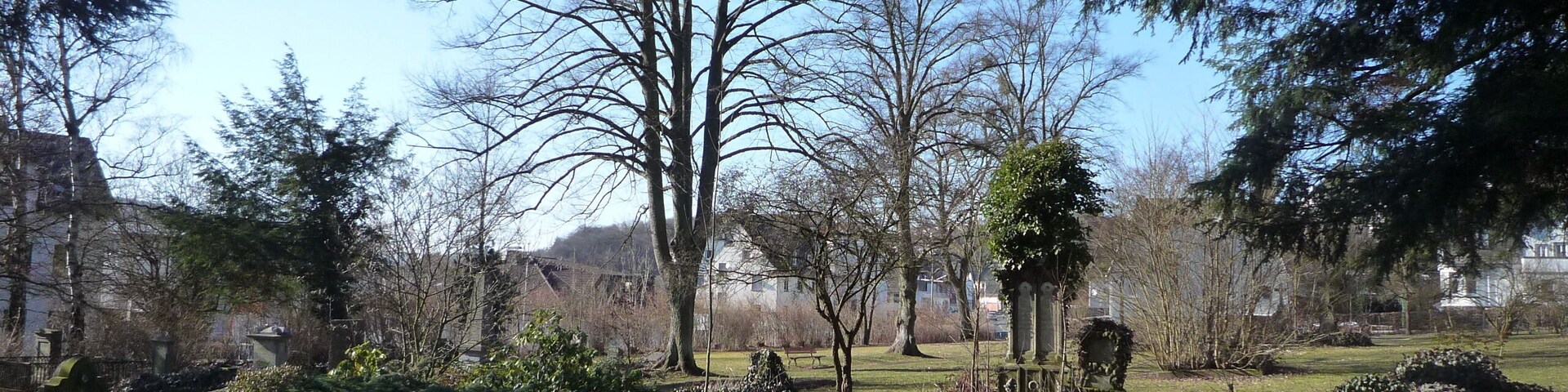 Un parque con un árbol grande, una pequeña fuente y una estatua.