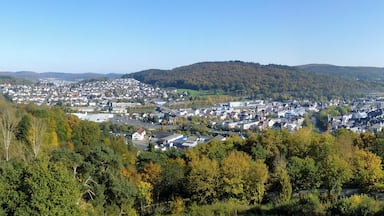 160° Panoramafoto vom Aussichtsturm Dillblick von Nord über Ost nach Süd; mittig links Alsbach mit Galgenberg, dahinter Seelbach; mittig rechts die Altstadt von Herborn
