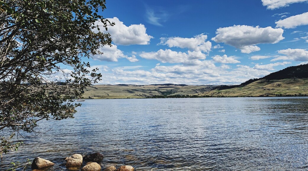 Chipmunks, greenery, bald eagles, heat, clear lake water, and more... Monck Park offers the best of what BC summers are made of, just a small drive from Vancouver. #LifeatExpedia