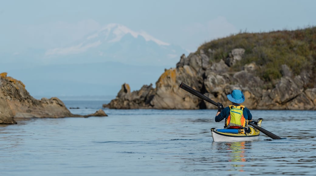 ์นด์ฝ ์์ผ๋๋