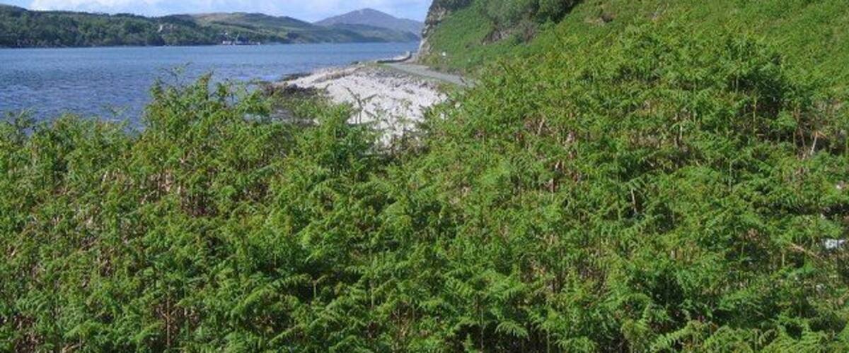 Sound of Jura from A846 View of the Sound of Jura from the A846 which leaves the coast just here. Port Askaig can just be seen on the Islay side in the distance.