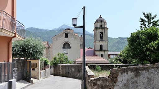 メルカート サン セヴェリーノ