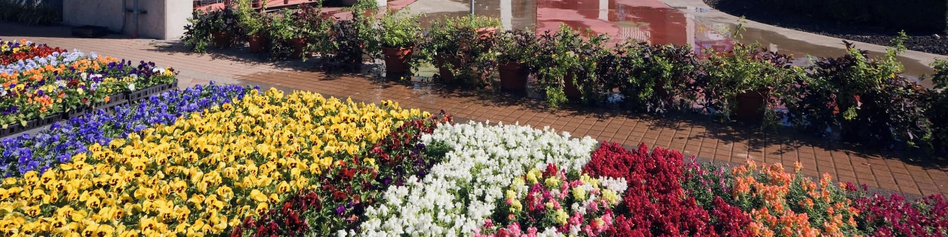 Entrance to the Dallas Farmers Market