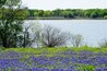 Clear Lake Park