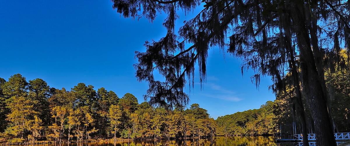Caddo Lake State Park, with the beautiful scenes of the fall colors in the cypress trees and Spanish moss makes for a great visit.