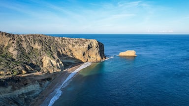 مونتي كريستي