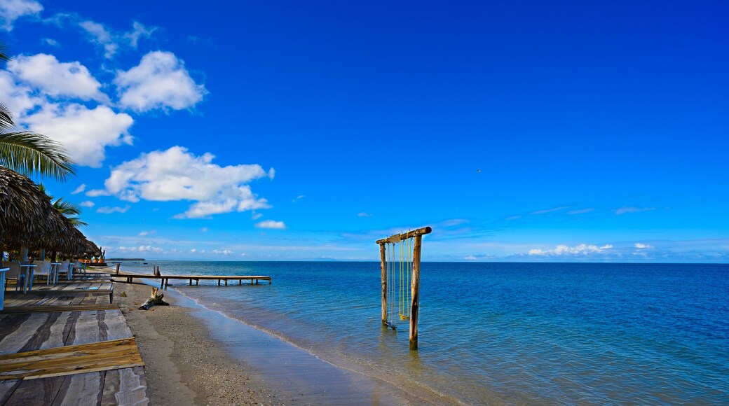 Swing and tropical coffee ocean. Blue sky of Monte Cristi Dominican Republic.