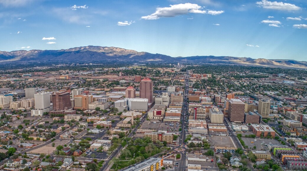 阿爾布開克會展中心