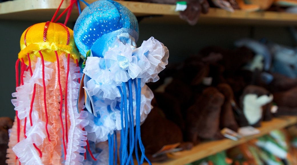 Ucluelet Aquarium showing shopping
