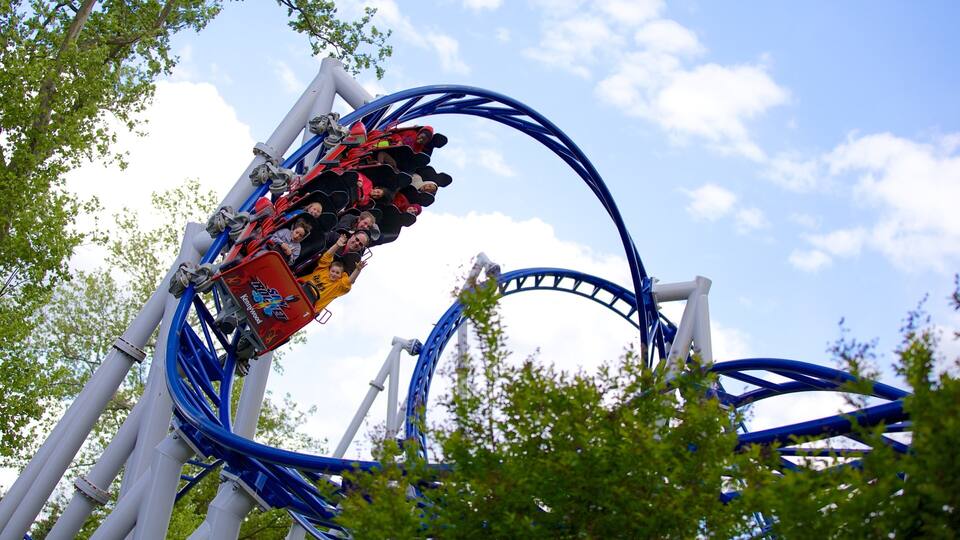 A roller coaster in a loop with trees in the background.