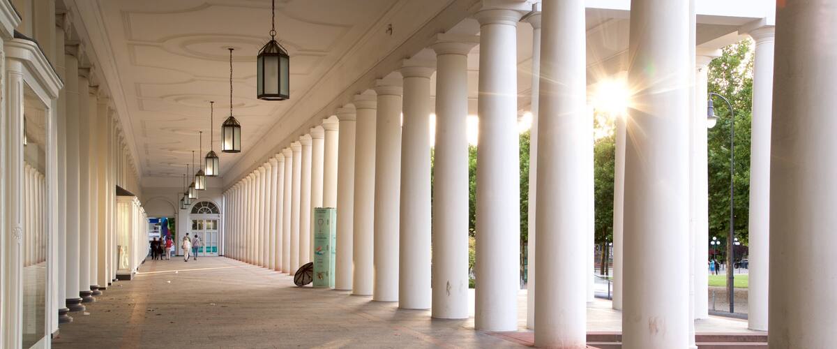 Hessian State Theatre showing heritage elements and interior views