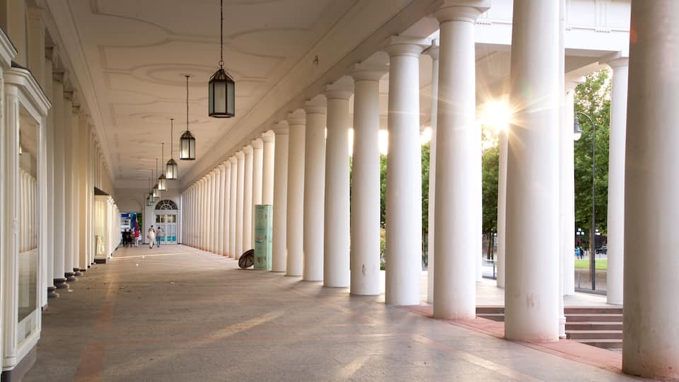 Hessian State Theatre showing heritage elements and interior views