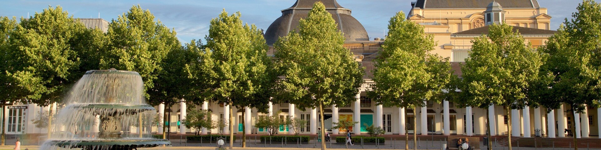 Hessian State Theatre which includes a fountain, a garden and a pond
