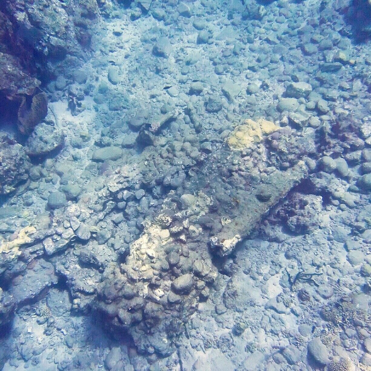 There's more to see than just the bubbling gasses - can you spot the canon embedded in the ocean floor?  It's within diving distance about 25ft deep.