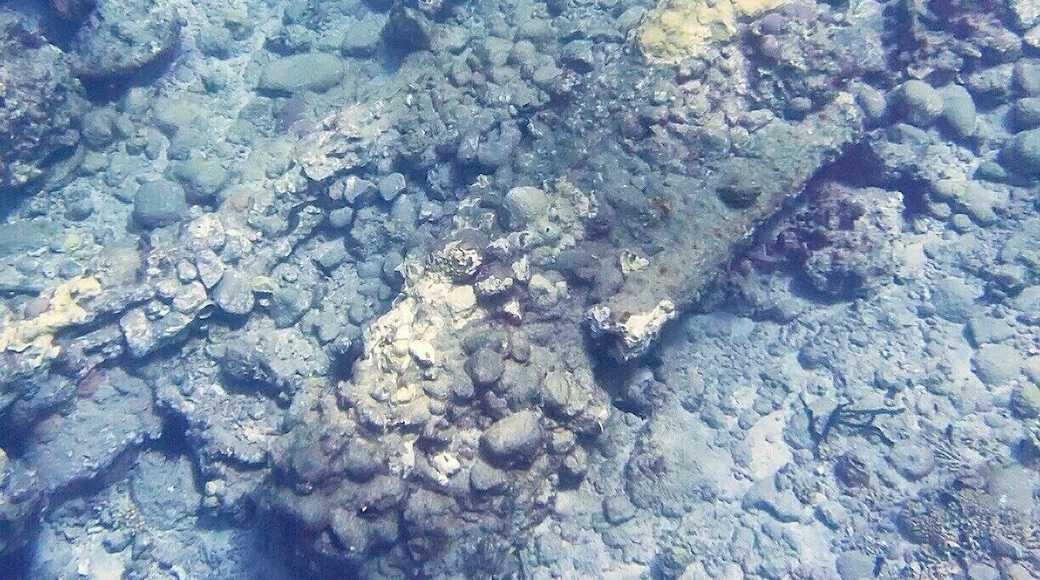 There's more to see than just the bubbling gasses - can you spot the canon embedded in the ocean floor? It's within diving distance about 25ft deep.