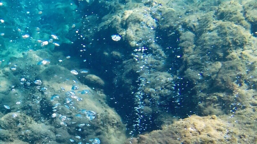 Great snorkeling and scuba diving site, where volcanic gasses seep through the ocean floor. As the name implies, it feels like you are swimming in a glass of Champagne. Best if you can free dive down about 20 feet and hang for a minute, but fun regardless. Short boat ride from Roseau.