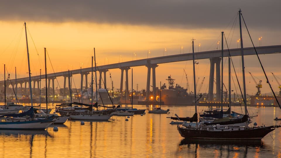 A harbor with multiple sailboats and a bridge in the background.