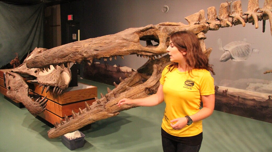 Canadian Fossil Discovery Centre featuring interior views as well as an individual femail
