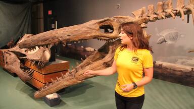 Canadian Fossil Discovery Centre featuring interior views as well as an individual femail