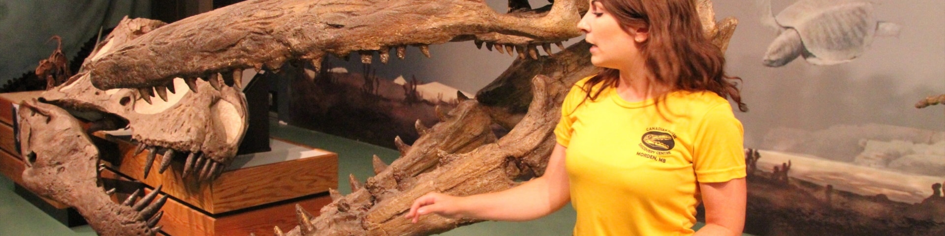 Canadian Fossil Discovery Centre featuring interior views as well as an individual femail