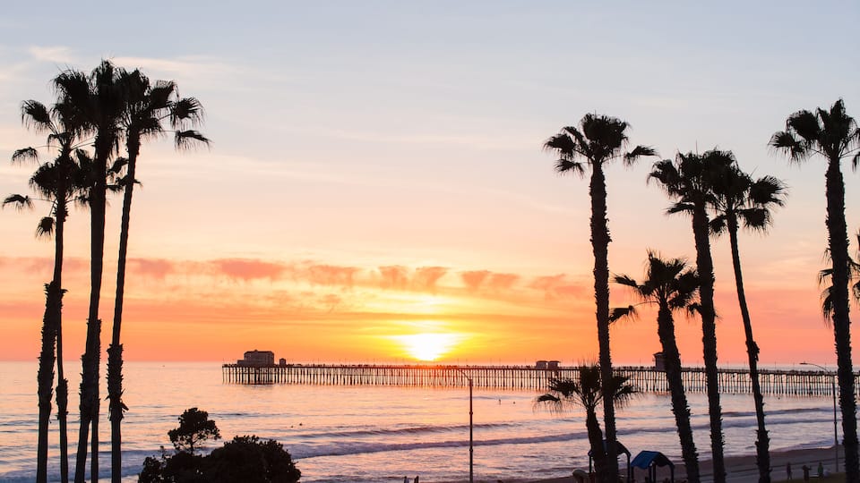 Palm Trees Beach Waves and Surf in Oceanside San Diego California