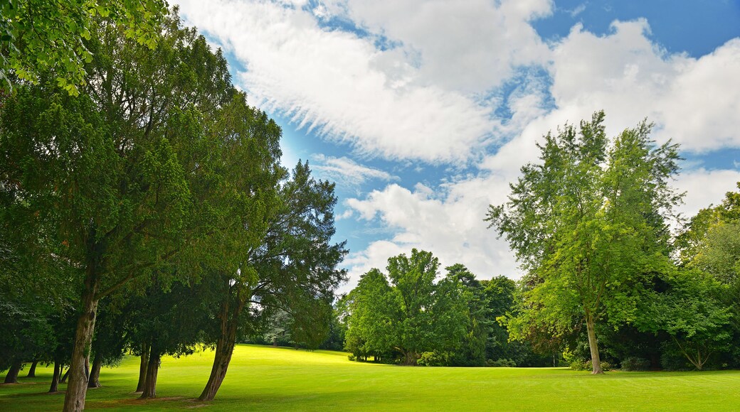 그린 리 골프 코스