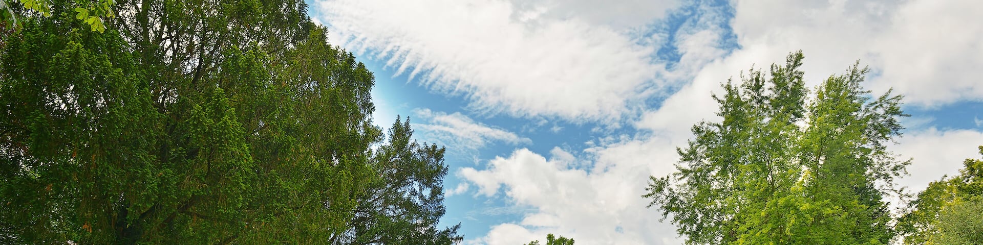 Large golf course in beautiful park