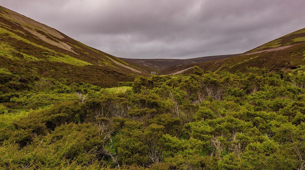 We got a little lost from Inverness to Edinburgh, but it turned out to be one of be best parts of the trip. It was very beautiful drive down this road. I would recommend it to anyone going to north Scotland.
