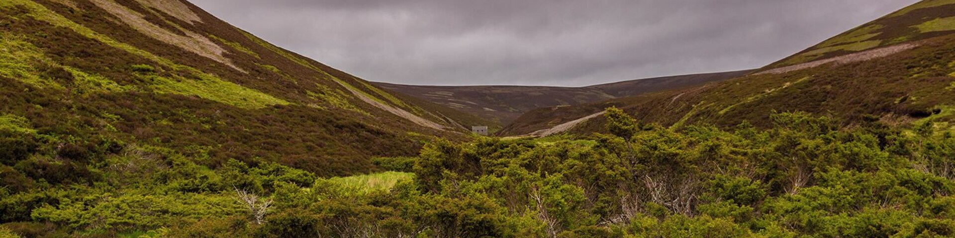 We got a little lost from Inverness to Edinburgh, but it turned out to be one of be best parts of the trip. It was very beautiful drive down this road. I would recommend it to anyone going to north Scotland.