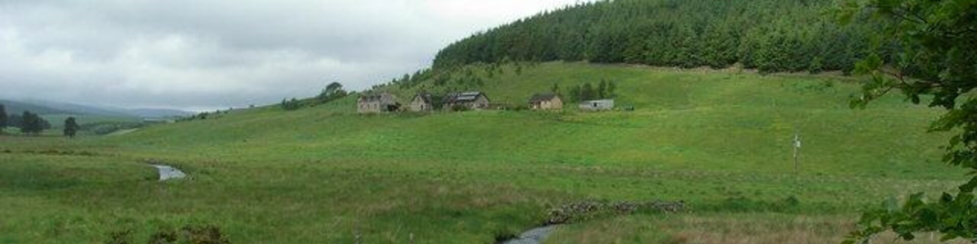 Paisaje rural con un campo cubierto de hierba, un pequeño arroyo y una valla de madera.