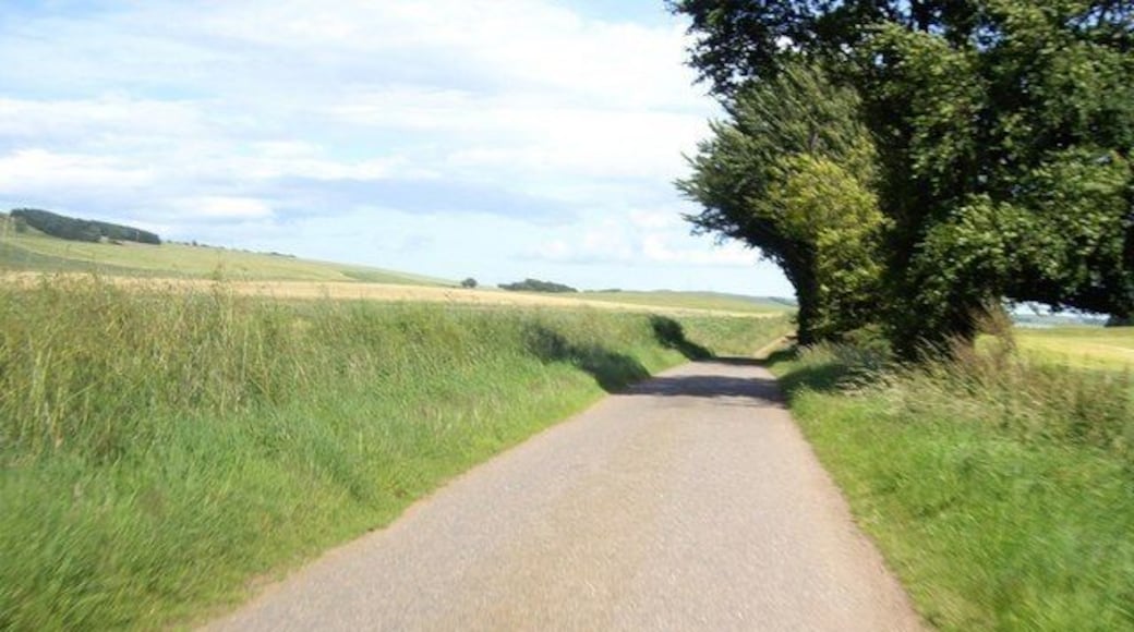 Road to Castleton Near Monboddo.