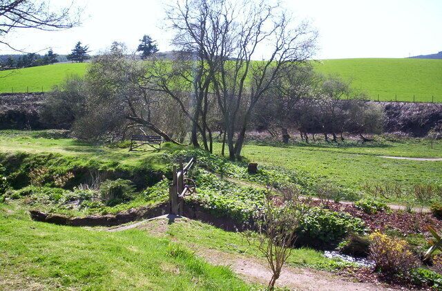 Sluice for old dam. Taken in the den at Auchenblae.