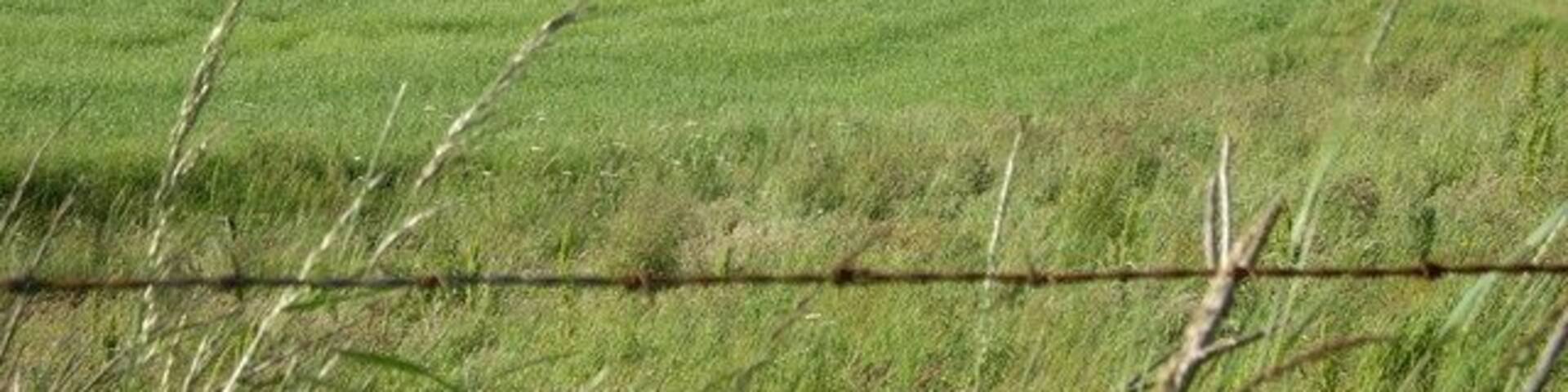 View to North Blairs North Blairs on the left.