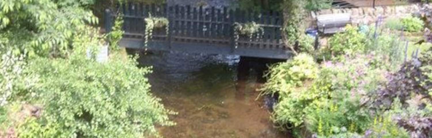 Upstream Burnie Shag From the bridge in Auchenbrae.