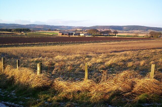 Blackiemuir Farm. Taken from edge of wood.