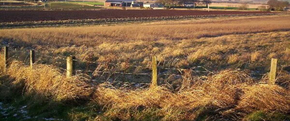 Blackiemuir Farm. Taken from edge of wood.