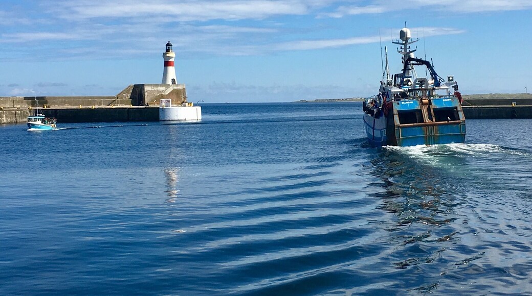 Fishing boats coming and going at Fraserburgh Harbour Scotland
