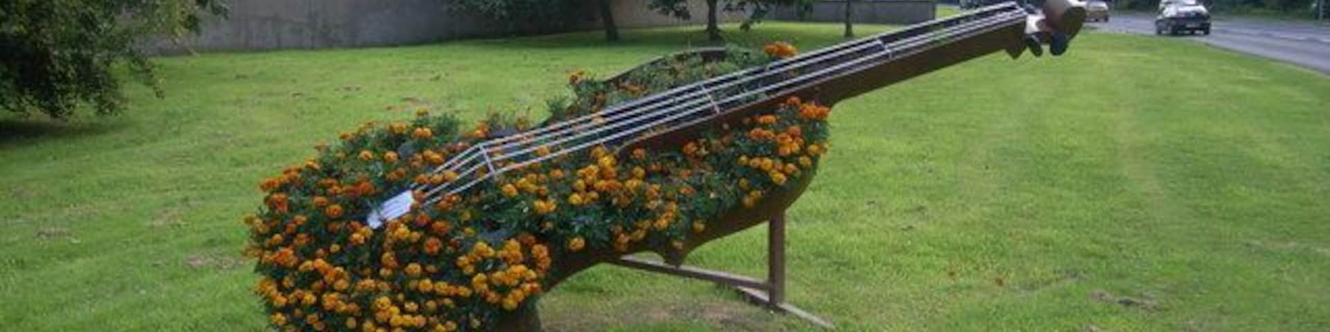 Floral display for Speyfest 2008