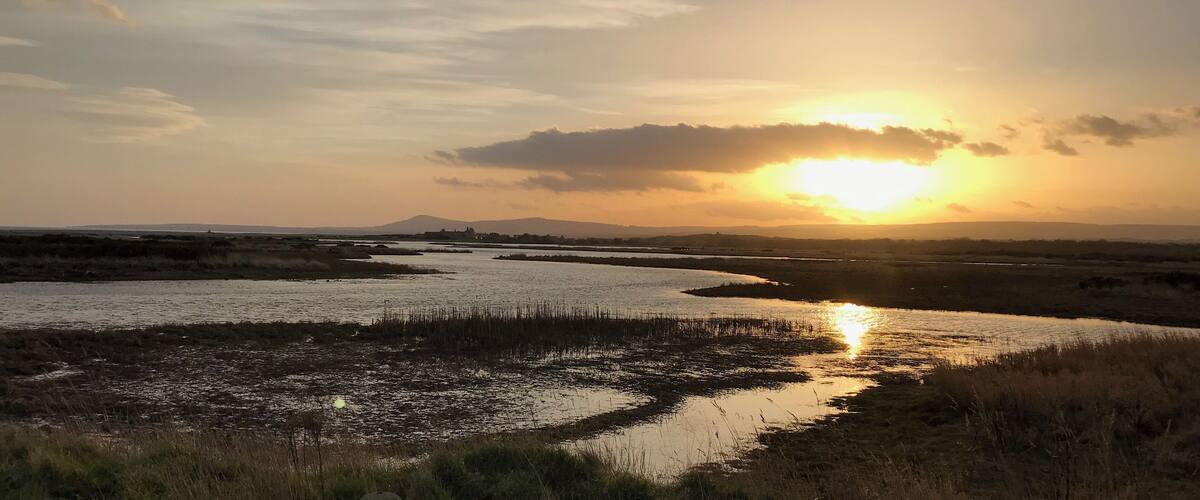 A river winding through a marshy landscape with the sun setting in the background.
