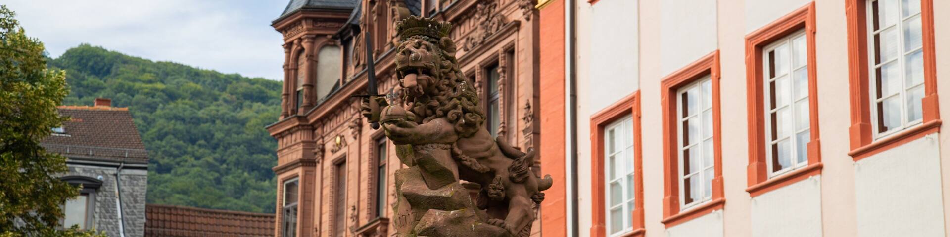 University of Heidelberg Old Campus featuring heritage elements