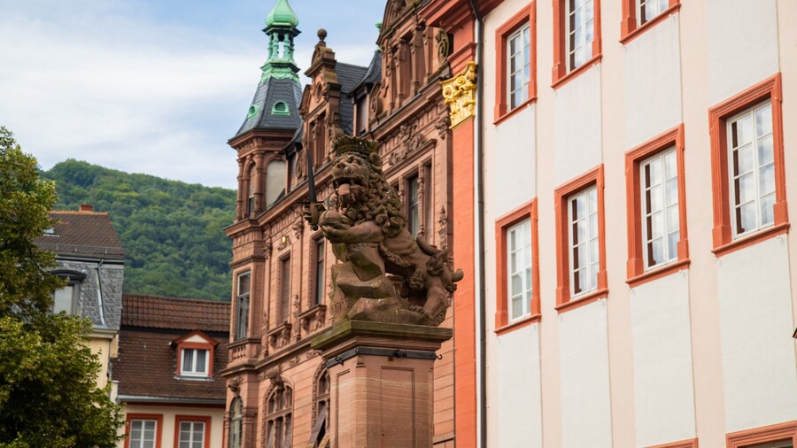 University of Heidelberg Old Campus featuring heritage elements