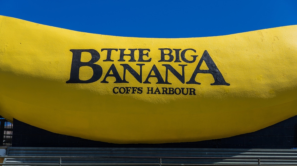 Big Banana Fun Park showing rides and signage